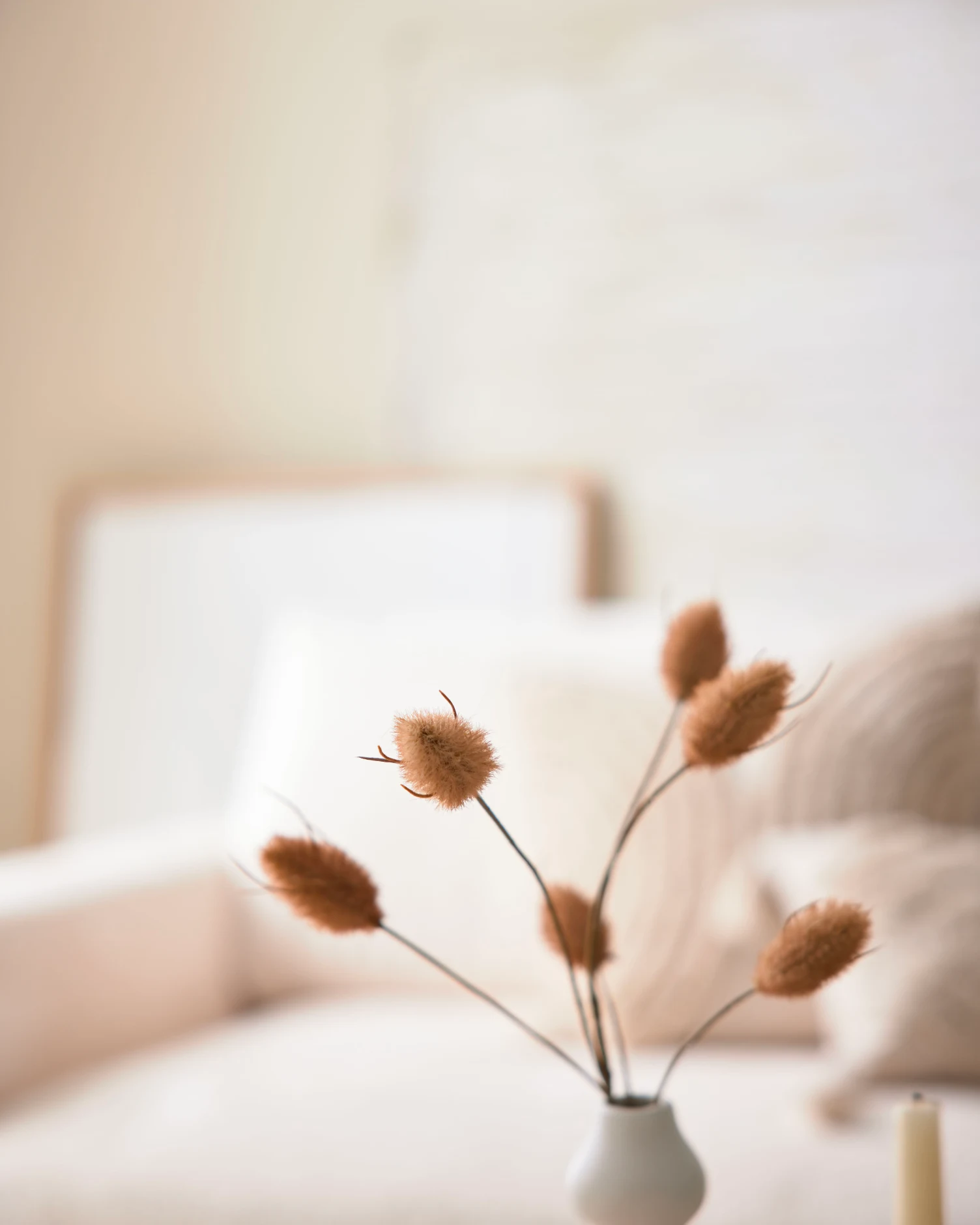 Detailaufnahme einer Vase mit Trockenblumen vor hellem Sofa – dekorativer Akzent im skandinavischen Wohnstil mit Fokus auf Natürlichkeit und Minimalismus.
